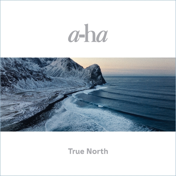 TRUE NORTH -LTD-