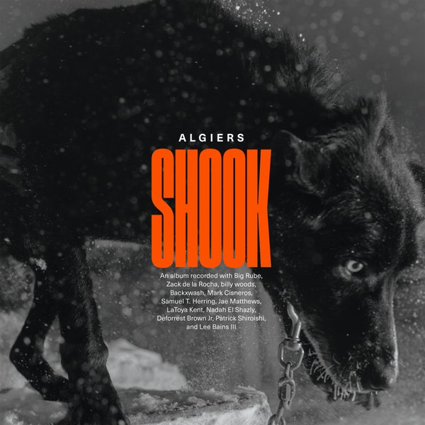 Shook -Indie/Coloured gold vinyl