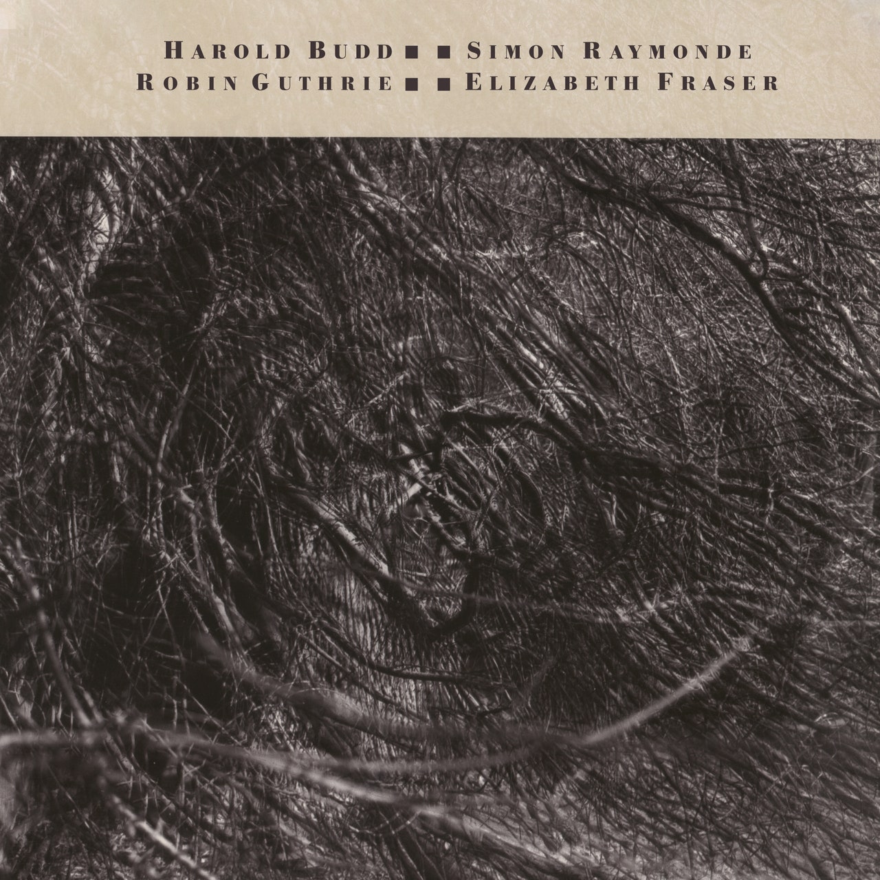 MOON & THE MELODIES-