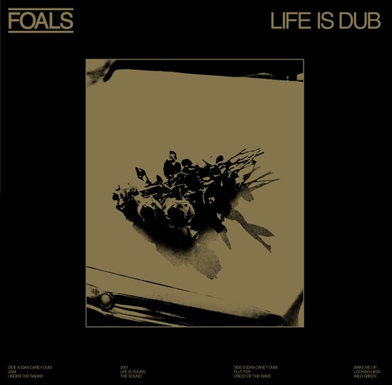 LIFE IS DUB (140 GR 12