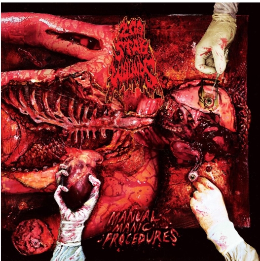 Manual Manic Procedures LP BLACK