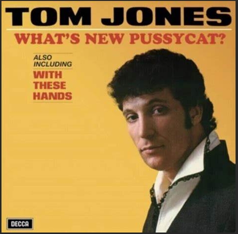 WHAT'S NEW PUSSYCAT