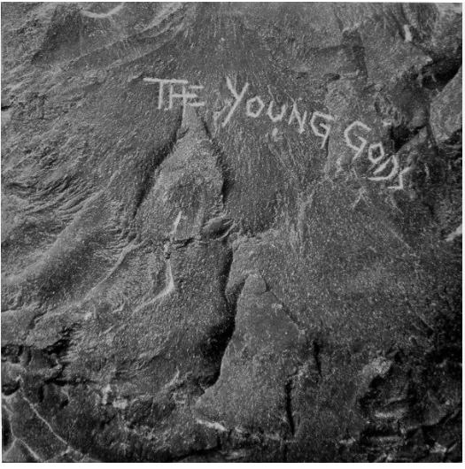 The Young Gods LP
