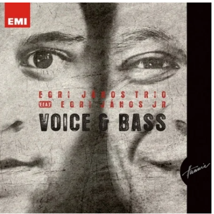 Voice & Bass