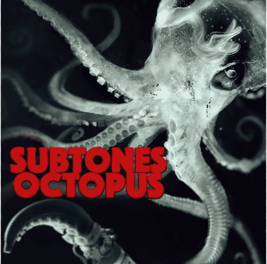 Octopus