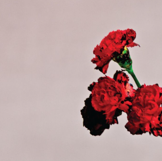 LOVE IN THE.. -REISSUE-