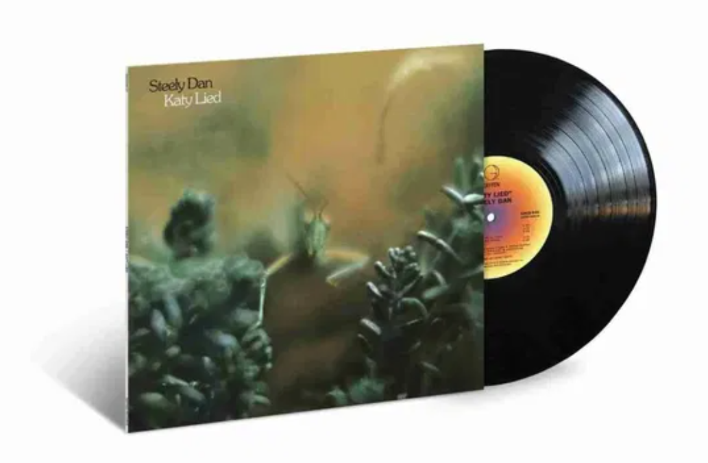KATY LIED