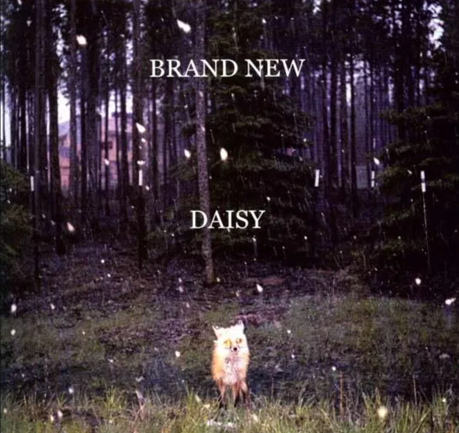 DAISY 