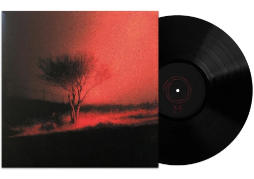 Piss In The Wind LP