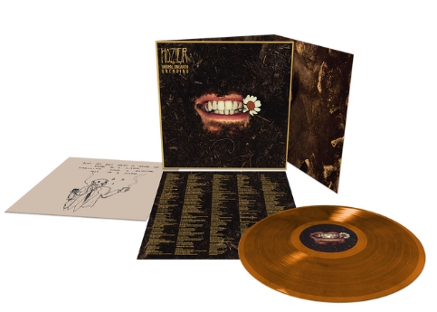 Unreal Unearth: Unending' (Companion Version Raw Ochre LP + 2CD)