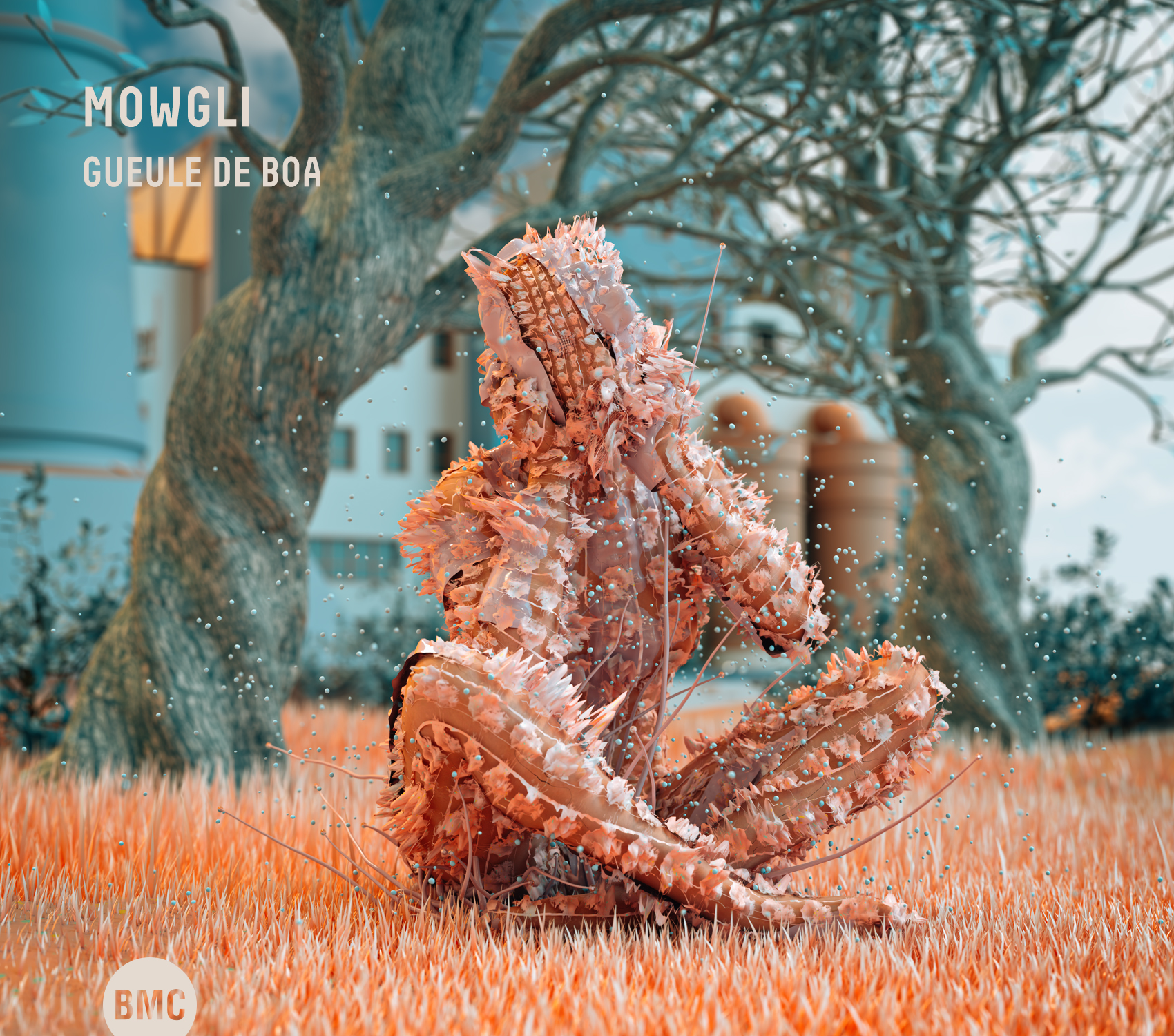 GUEULE DE BOA