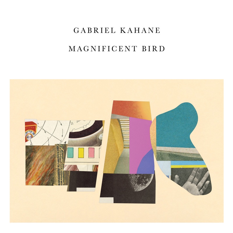 MAGNIDIFIENT BIRD