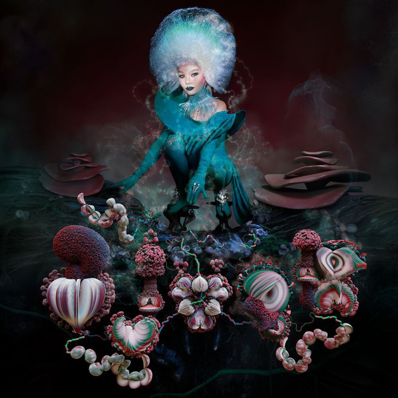FOSSORA -DELUXE/MEDIABOO-