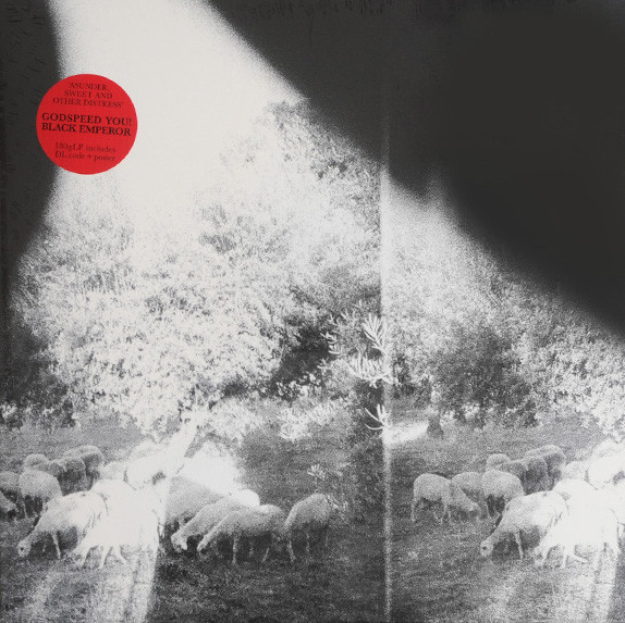 Asunder Sweet And Other Distress LP