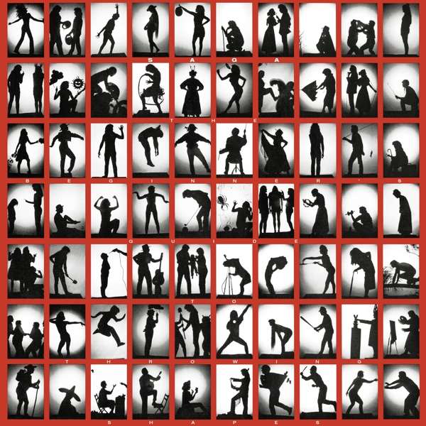 The Beginner's Guide Of Throwing Shapes LP