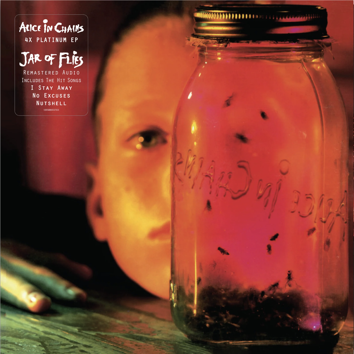 JAR OF FLIES