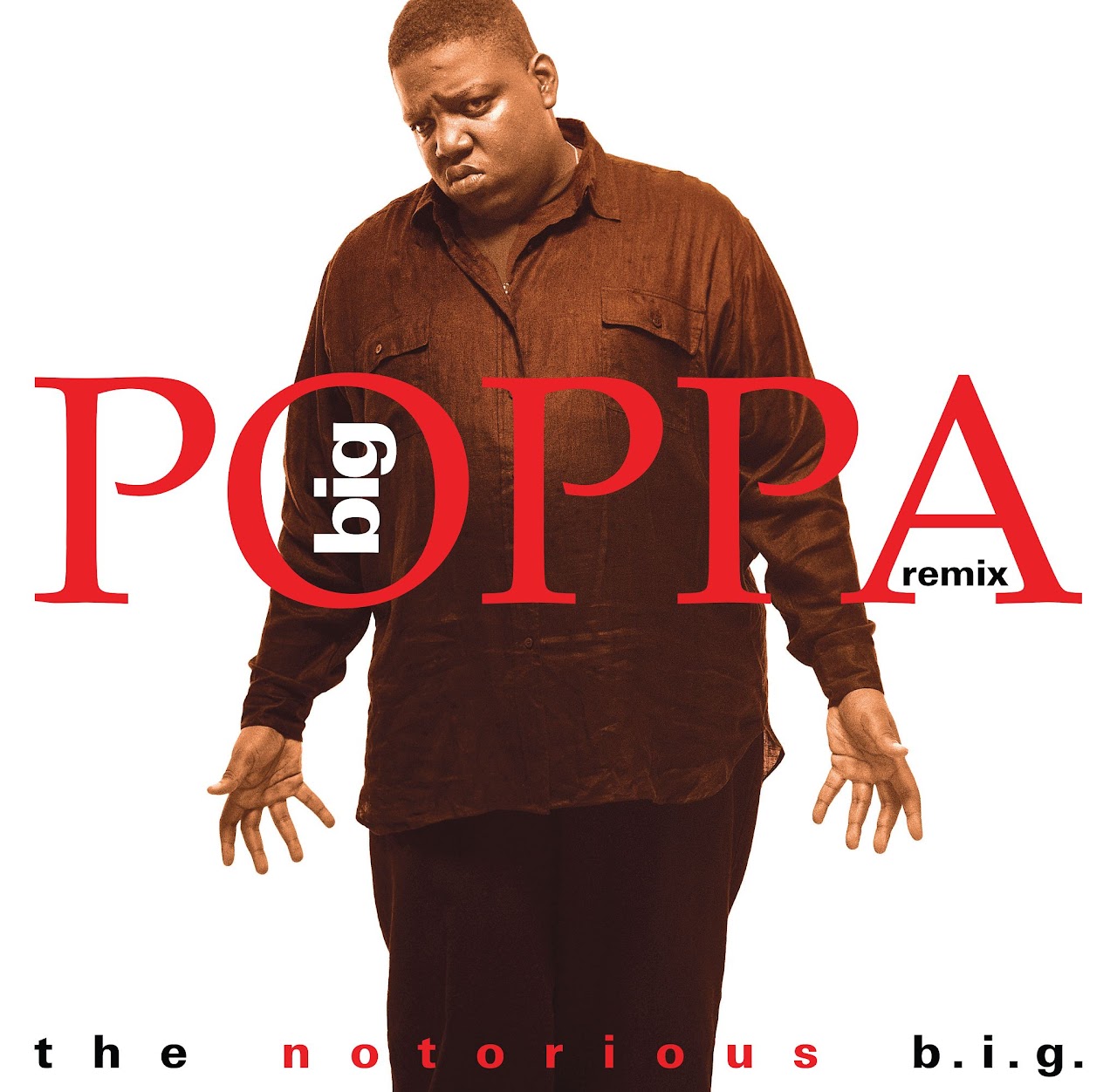 BIG POPPA (REMIX) (140 GR 12