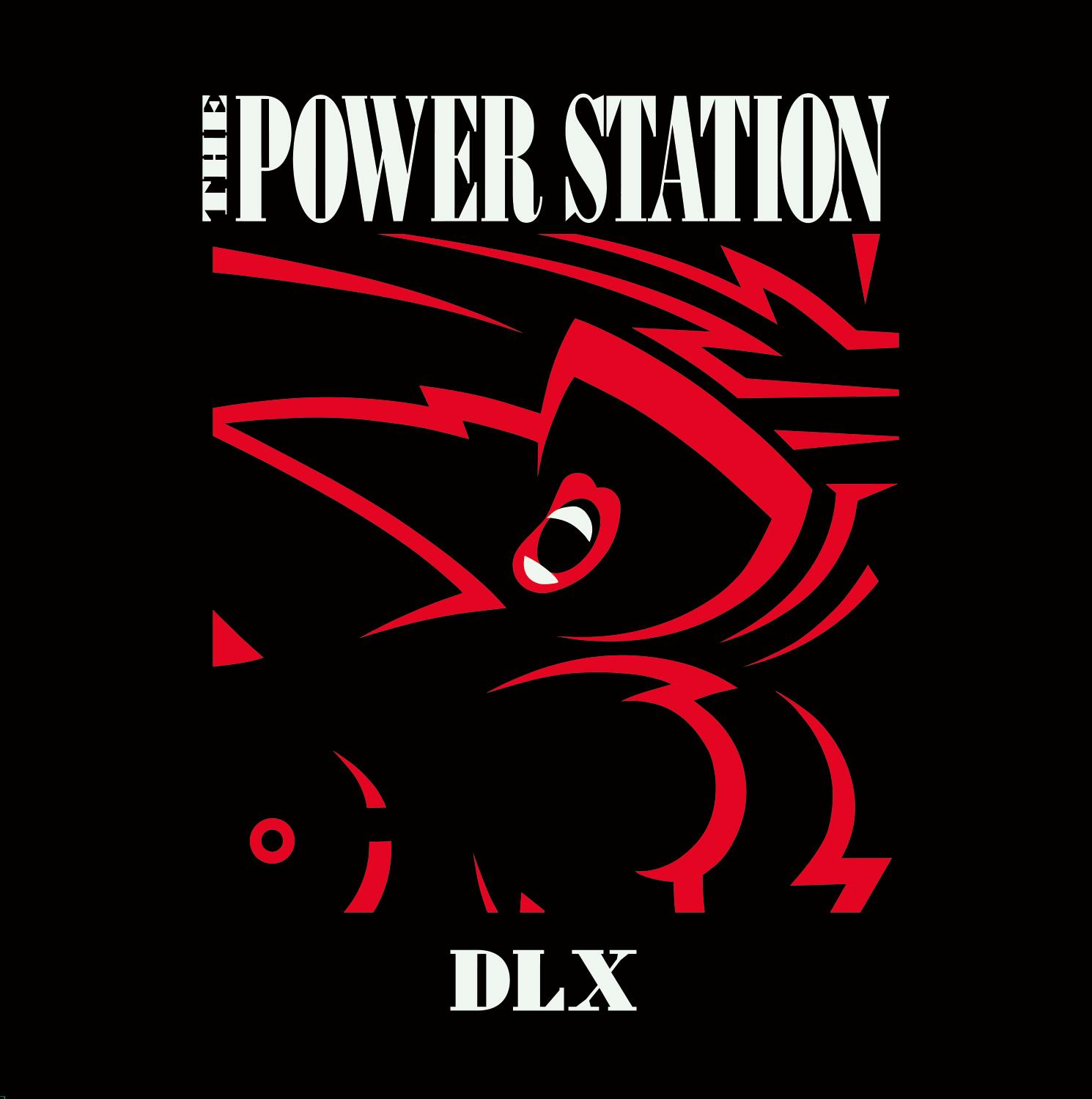 THE POWER STATION (LTD.)