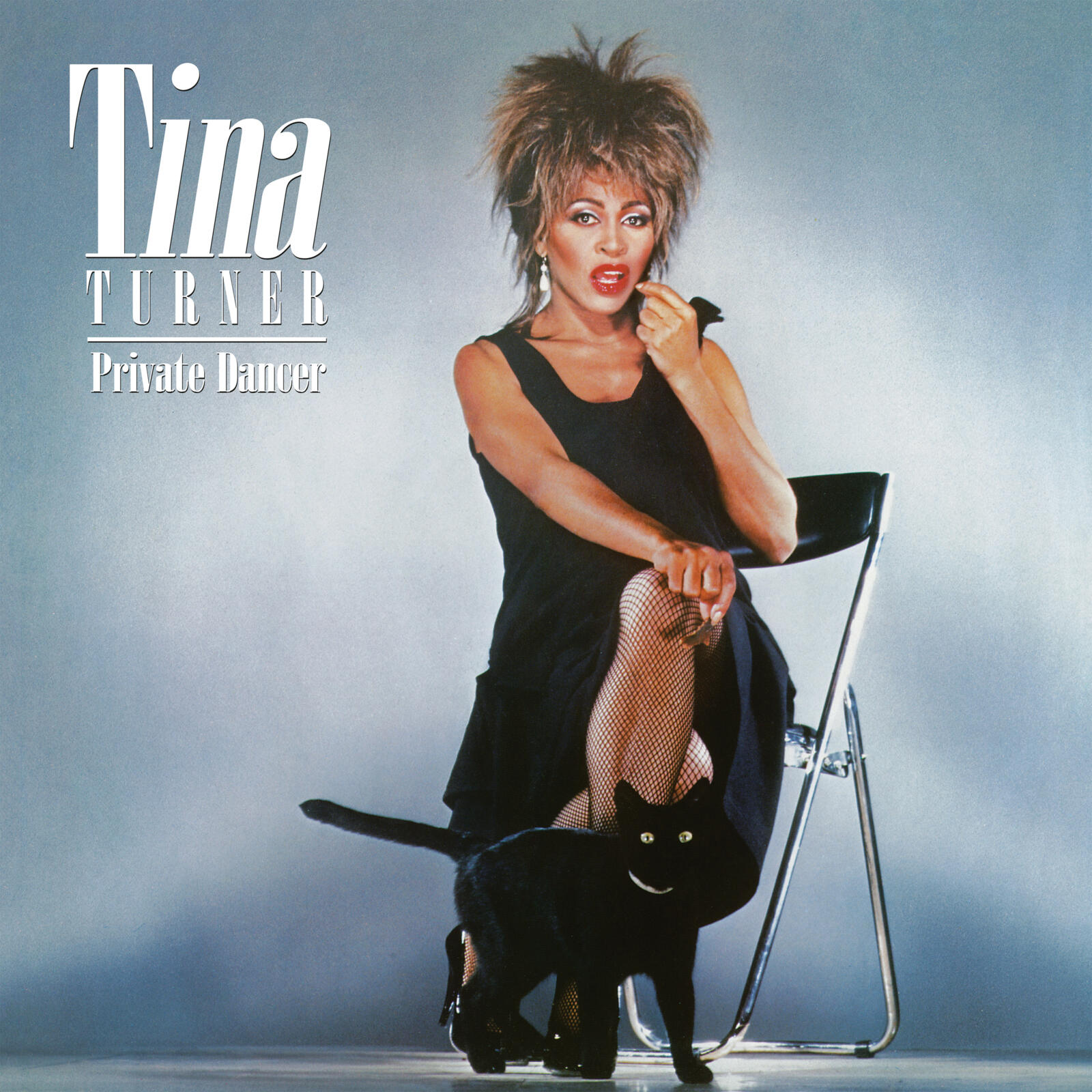 PRIVATE DANCER 