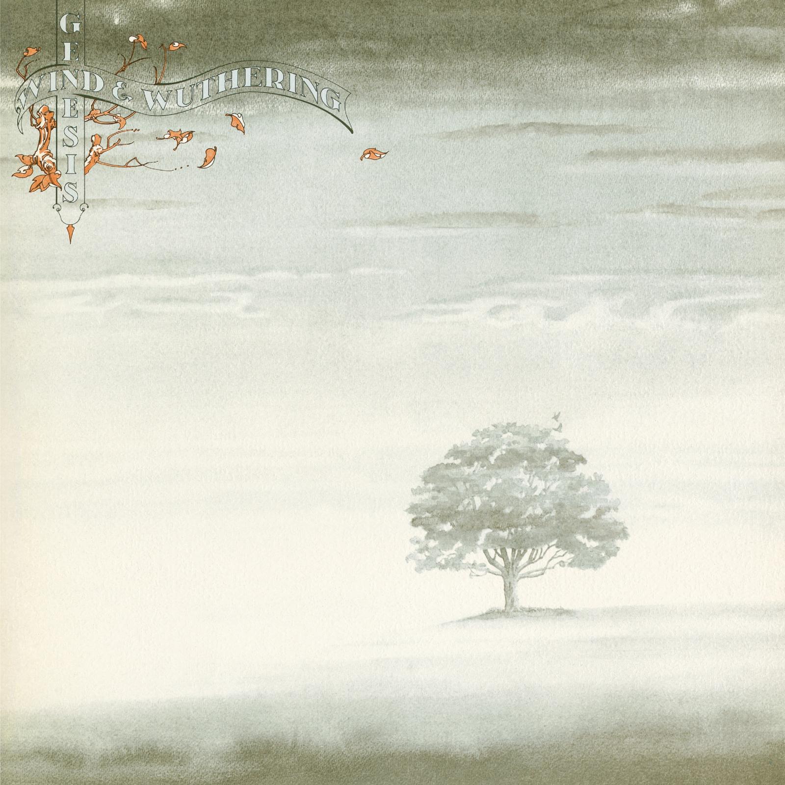 WIND & WUTHERING (180 GR 12