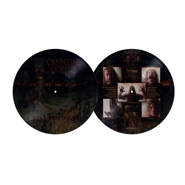 A Skeletal Domain LP PICTURE
