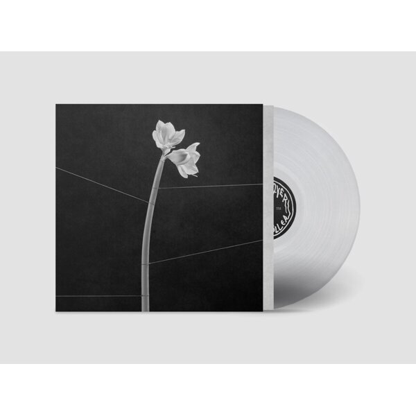 Dreamweaver (LP transparent crystal clear vinyl) (