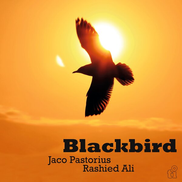 BLACKBIRD (LTD. GREEN VINYL)