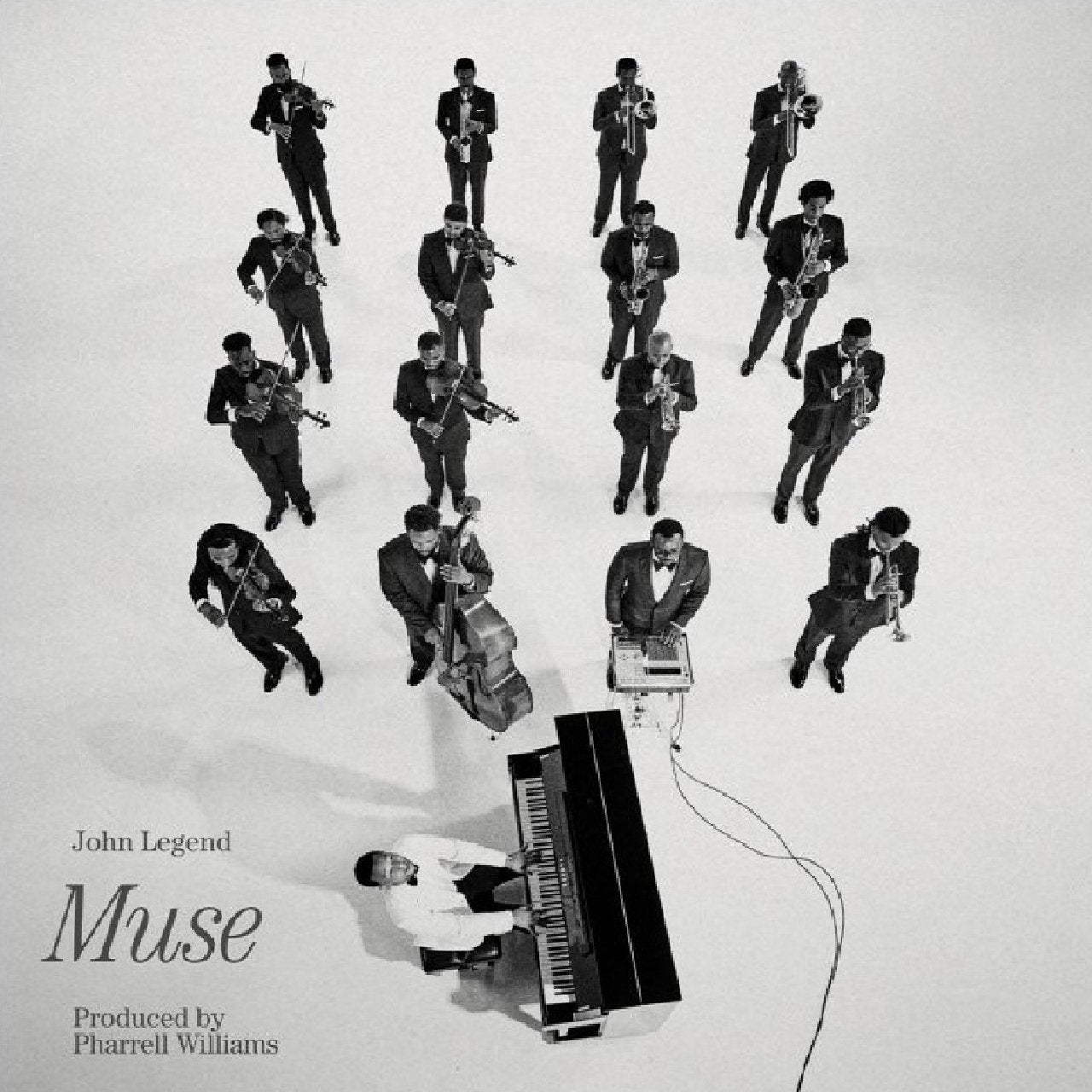 Muse