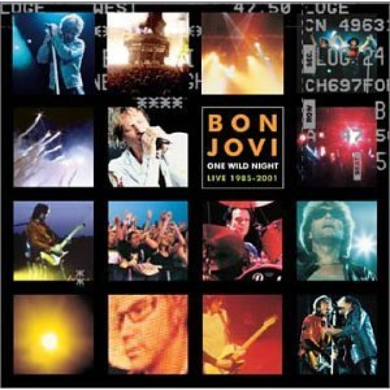 ONE WILD NIGHT