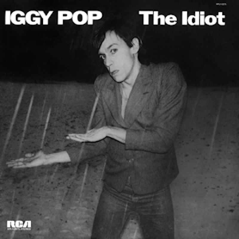 THE IDIOT