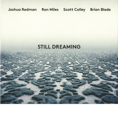 STILL DREAMING
