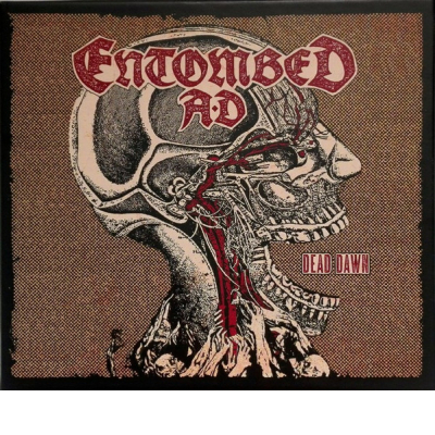 Dead Dawn (Ltd. Box inkl. MC, Bonustracks, Aufnäher, Buttonset) 