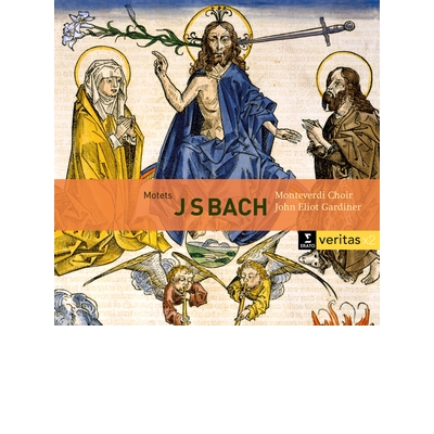 Bach - Motets BWV 225-231, Cantatas BWV 50 &amp; 118 2CD