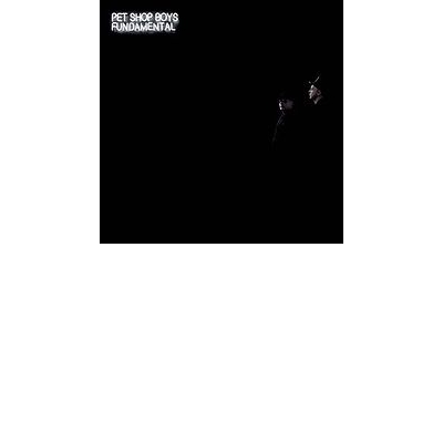 FUNDAMENTAL(VINYL) 