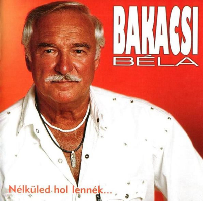NÉLKÜLED HOL LENNÉK