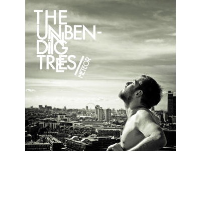 The Unbending Trees, Meteor (2 CD)