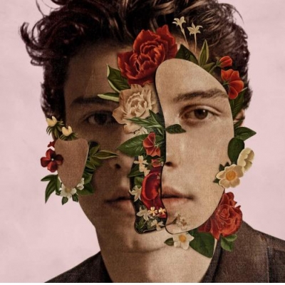 SHAWN MENDES DELUXE