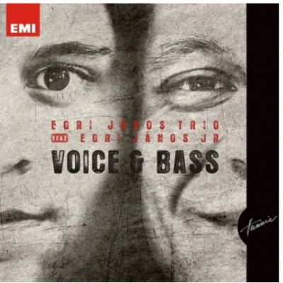 Voice &amp; Bass