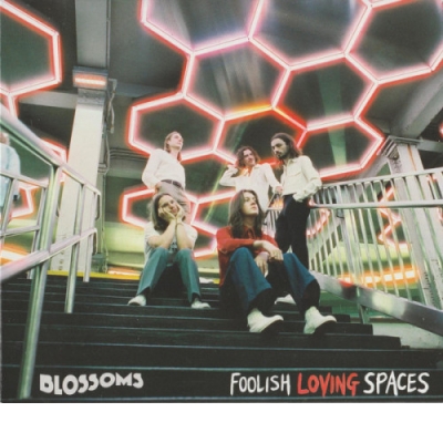 FOOLISH LOVING SPACES