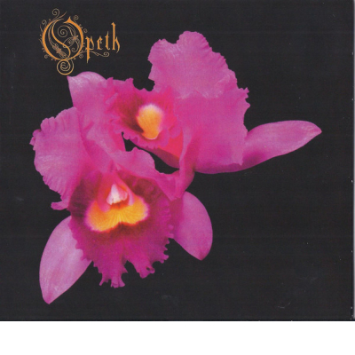 ORCHID