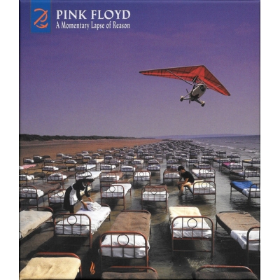 A MOMENTARY LAPSE OF REASON (CD/BR-LTD.)