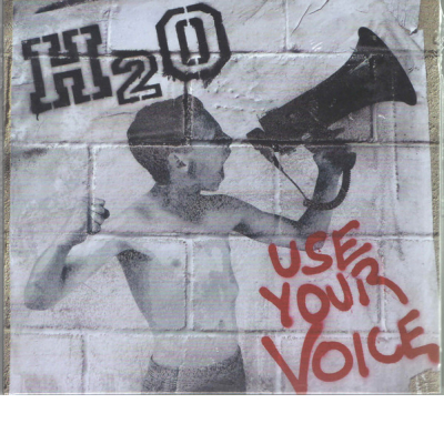 Use Your Voice