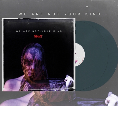 WE ARE NOT YOUR KIND (180 GR 12&quot; BLUE-LTD.)