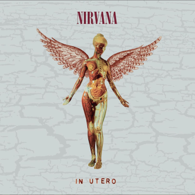 IN UTERO 30TH ANNIVERSARY (CD BOX)