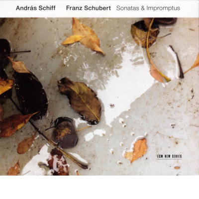 Sonatas &amp; Impromptus