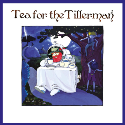 Tea For The Tillerman